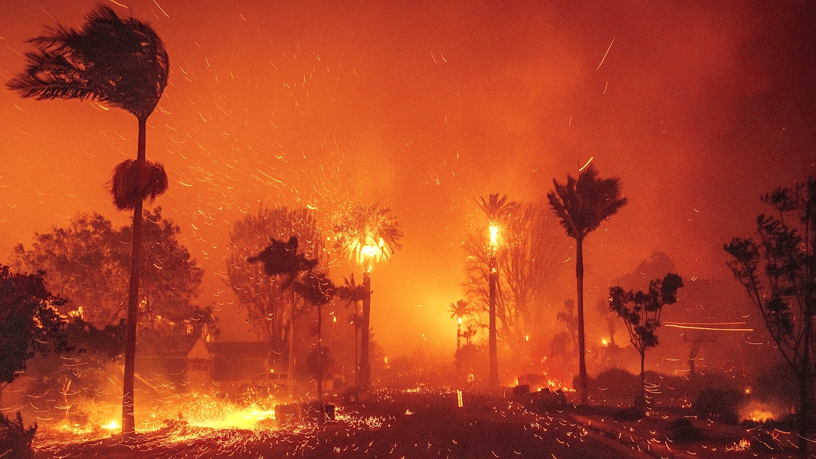 Whiplash: How Large Swings in Precipitation Fueled the L.A. Fires