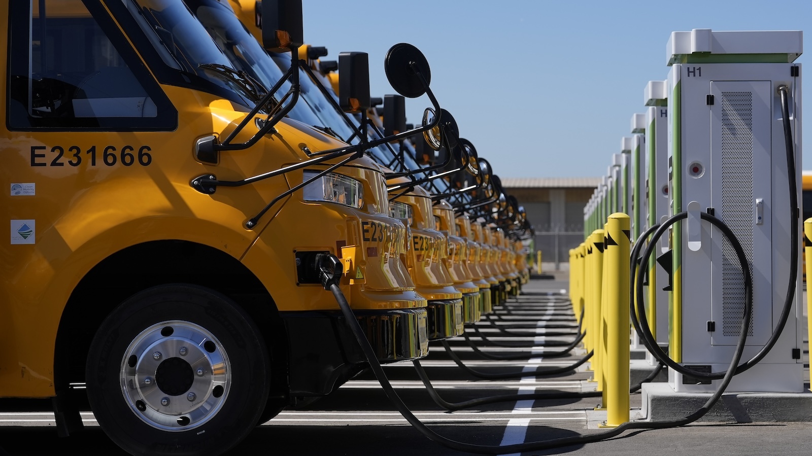 Slowly however Absolutely, U.S. Faculty Buses Are Beginning to Electrify